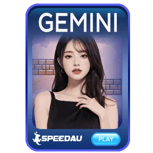 Gemini