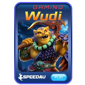 Wudi